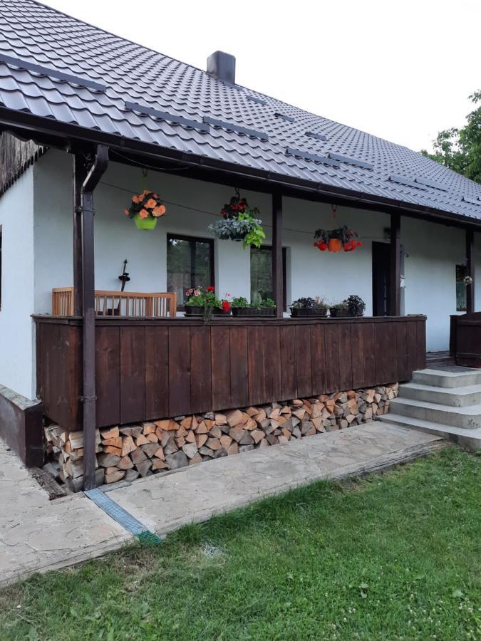 Willa Casa Bunicilor Ciprian Porumbescu Zewnętrze zdjęcie