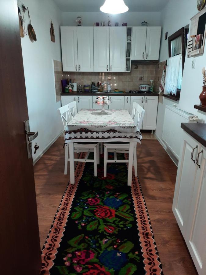 Willa Casa Bunicilor Ciprian Porumbescu Zewnętrze zdjęcie
