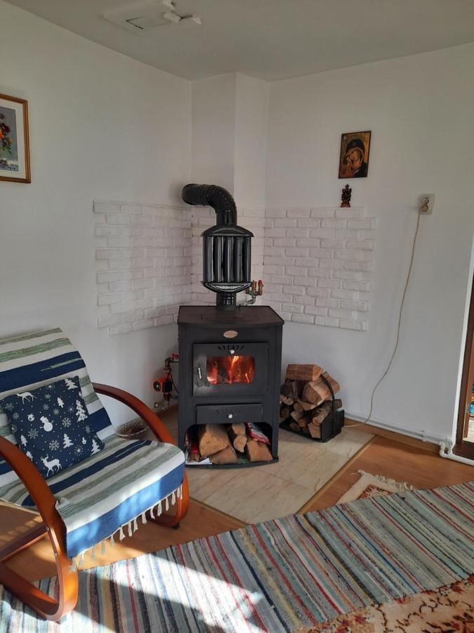 Willa Casa Bunicilor Ciprian Porumbescu Zewnętrze zdjęcie