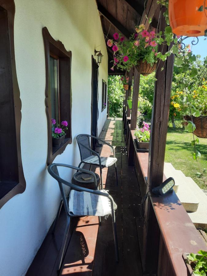 Willa Casa Bunicilor Ciprian Porumbescu Zewnętrze zdjęcie