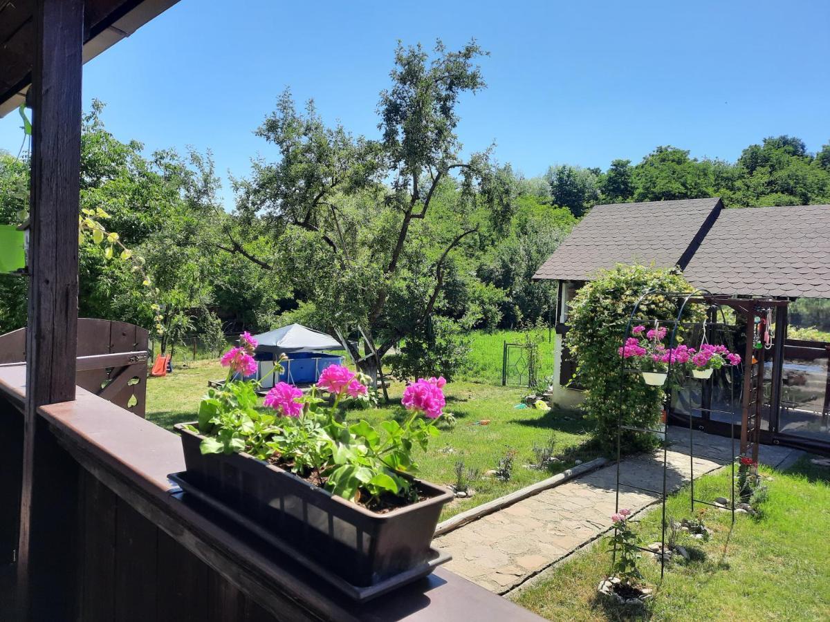 Willa Casa Bunicilor Ciprian Porumbescu Zewnętrze zdjęcie