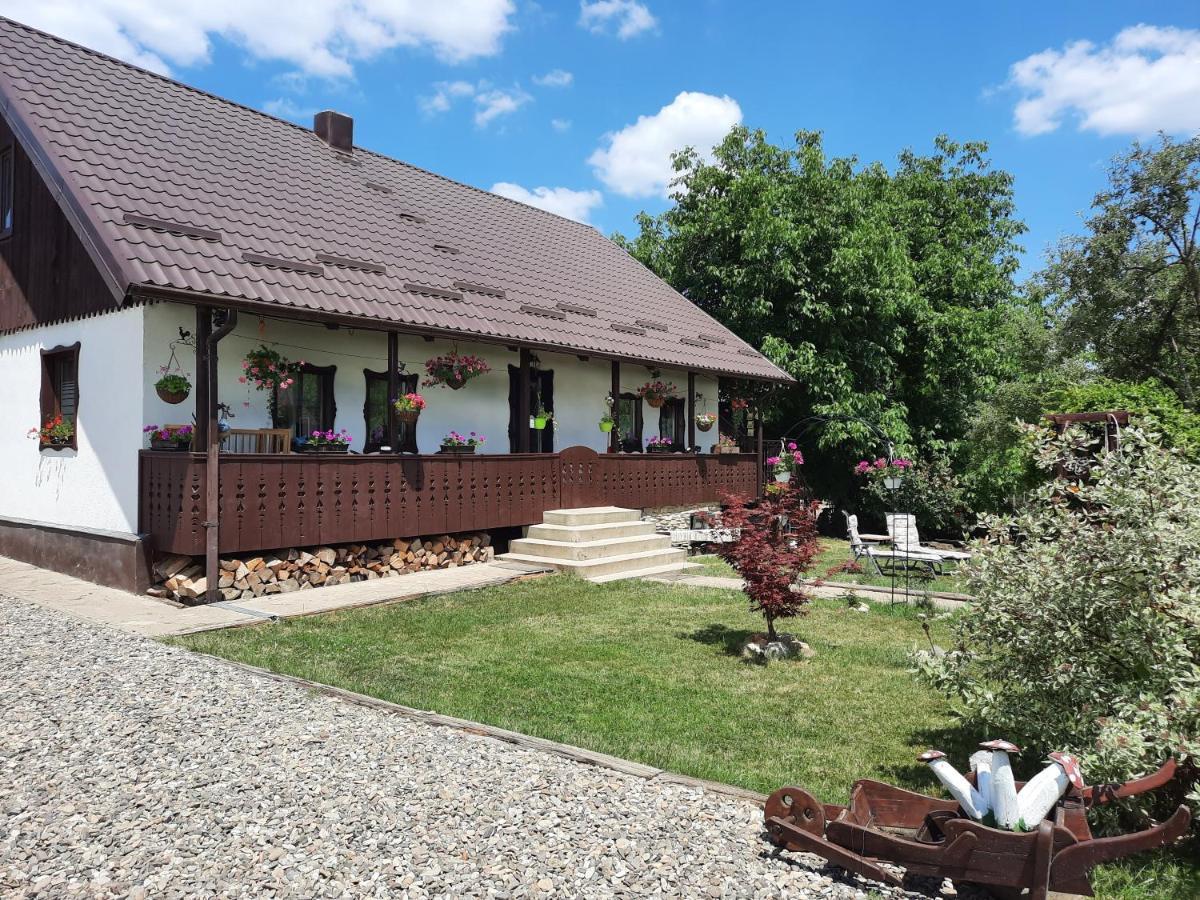 Willa Casa Bunicilor Ciprian Porumbescu Zewnętrze zdjęcie