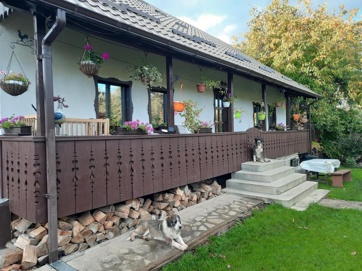 Willa Casa Bunicilor Ciprian Porumbescu Zewnętrze zdjęcie