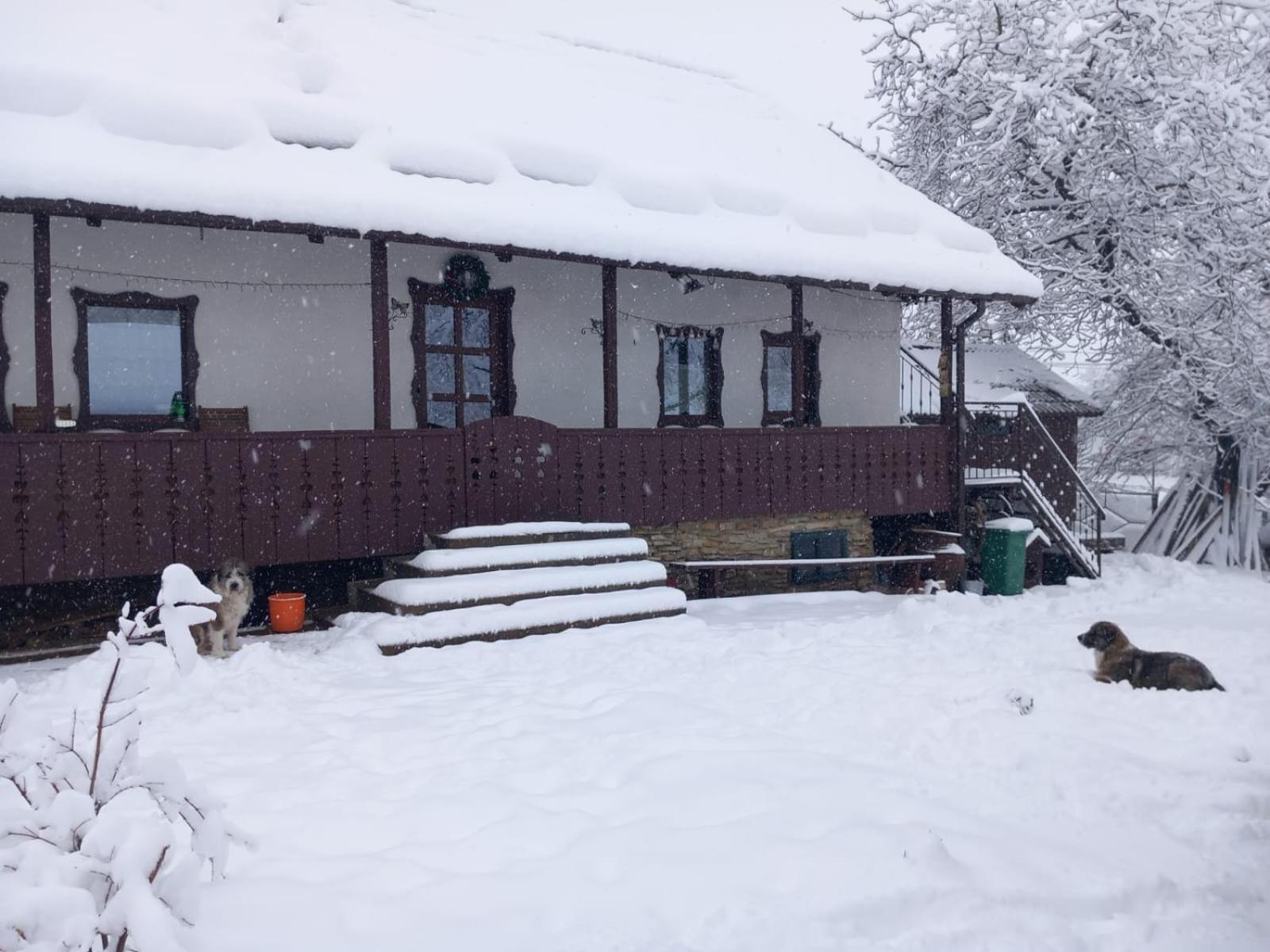 Willa Casa Bunicilor Ciprian Porumbescu Zewnętrze zdjęcie