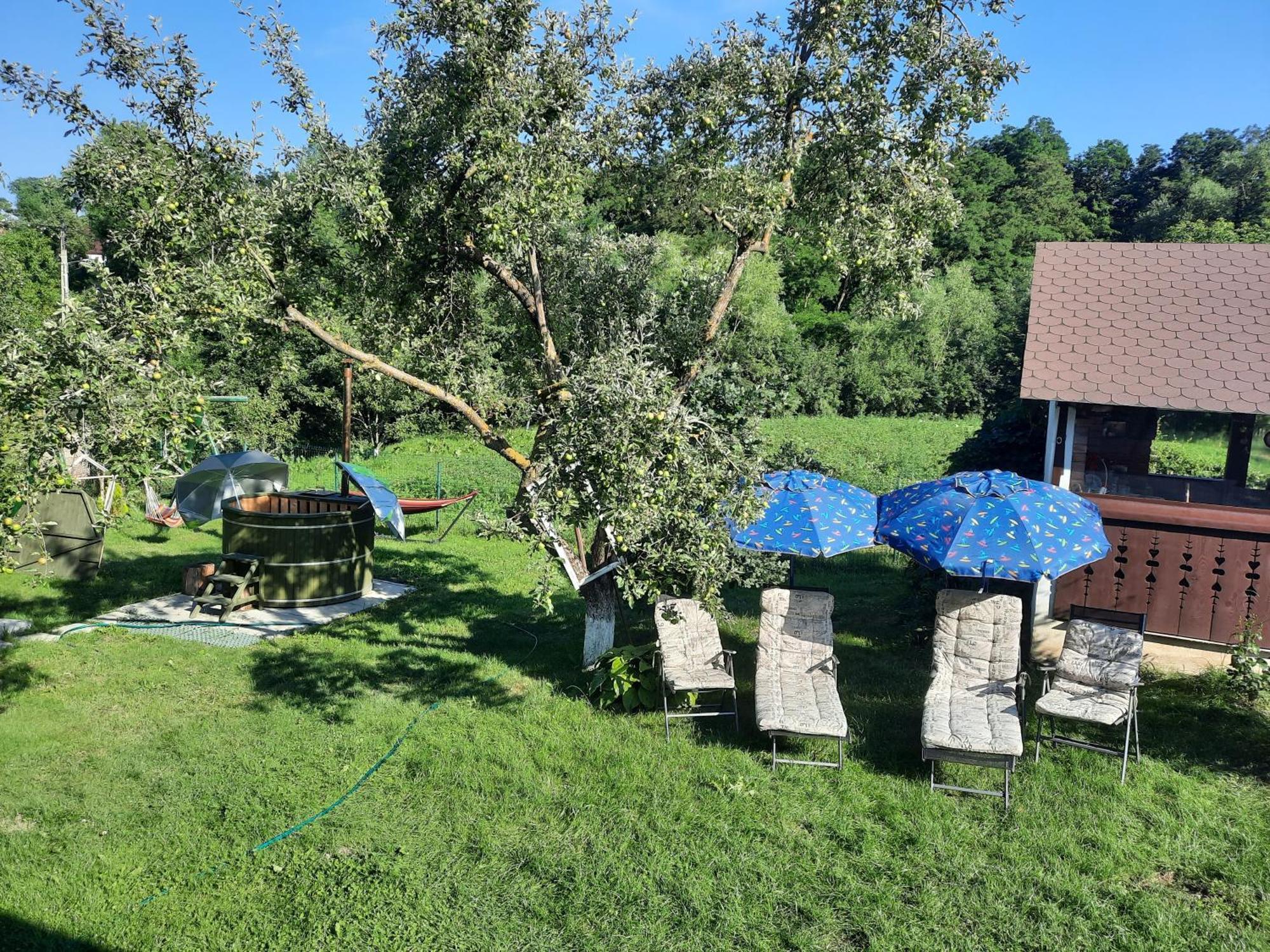Willa Casa Bunicilor Ciprian Porumbescu Zewnętrze zdjęcie